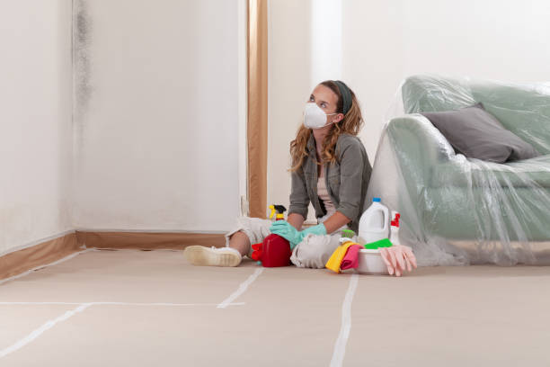 Reliable Black Mold Remediation contractor in Worton, MD by 24 Hour Mold Removal